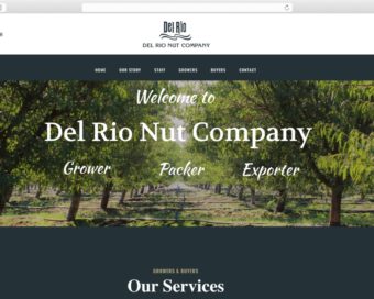 rare_digital_del_rio_nut_portfolio